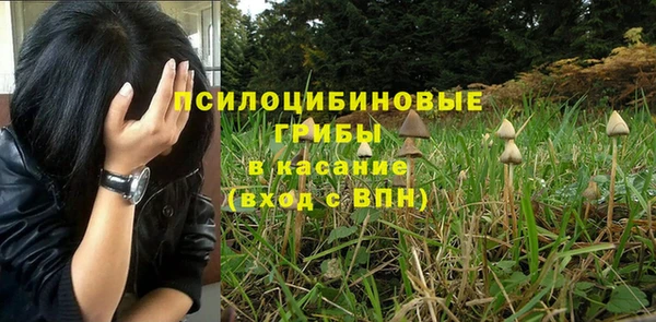 гашиш Алзамай