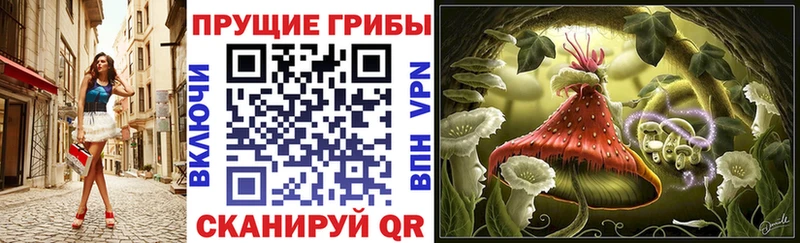 Псилоцибиновые грибы GOLDEN TEACHER  где купить наркоту  OMG tor  Алдан 